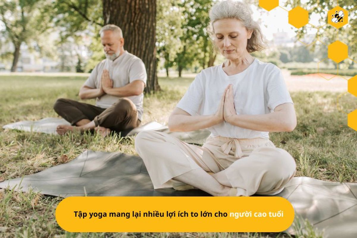 Tập yoga mang lại nhiều lợi ích to lớn cho người cao tuổi