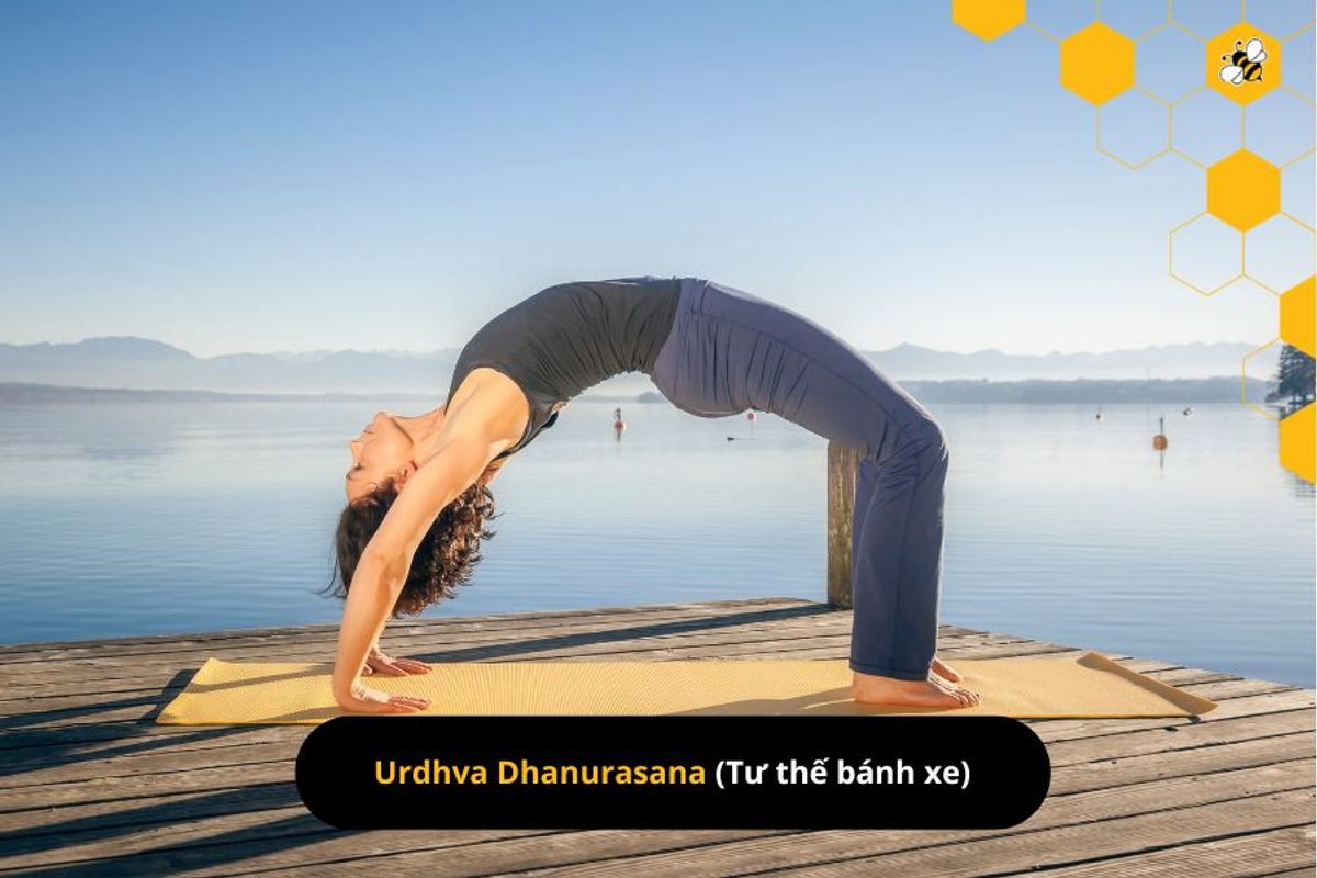 Urdhva Dhanurasana (Tư thế bánh xe)