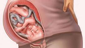 Các bài tập yoga cho bà bầu 3 tháng cuối