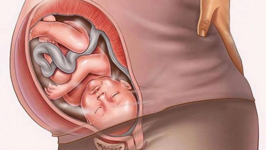 Các bài tập yoga cho bà bầu 3 tháng cuối