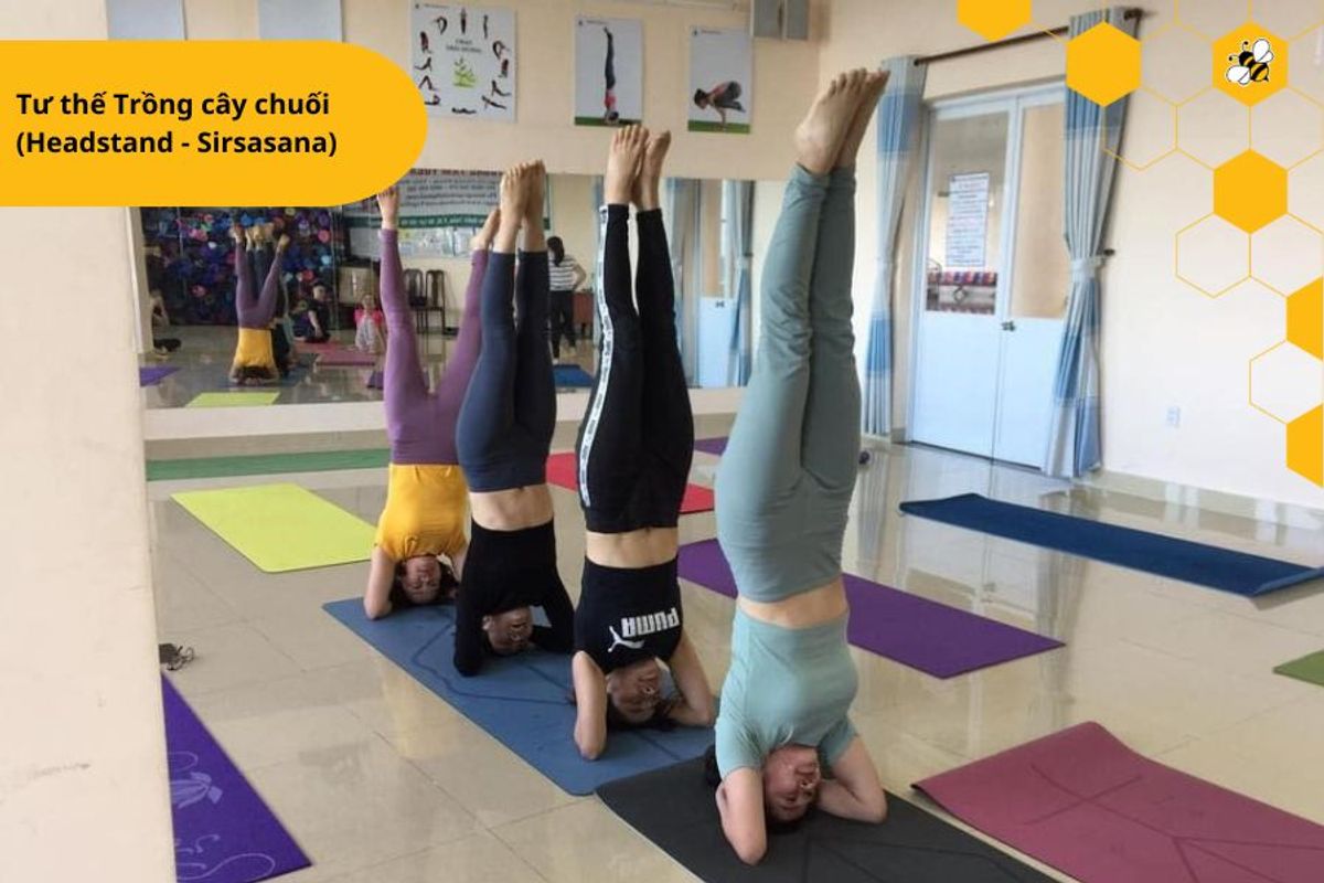 Tư thế Trồng cây chuối  (Headstand - Sirsasana)