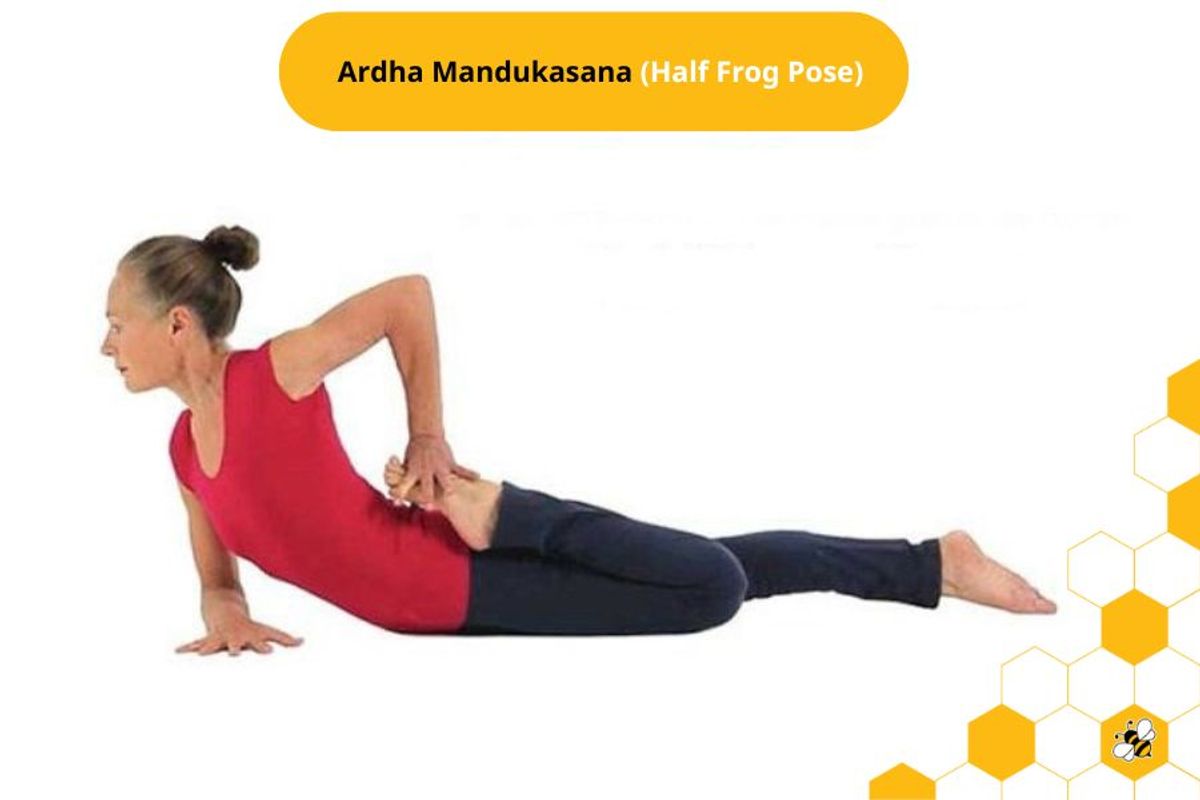 Ardha Mandukasana (Half Frog Pose)