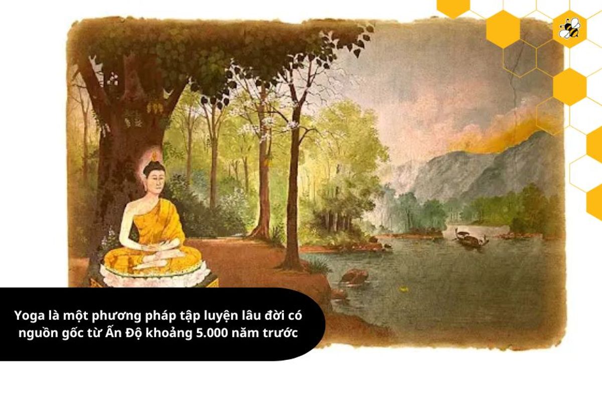 Yoga là một phương pháp tập luyện lâu đời có nguồn gốc từ Ấn Độ khoảng 5.000 năm trước