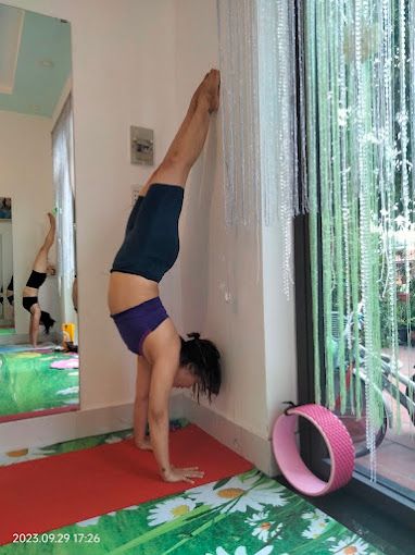 Yoga Trị liệu