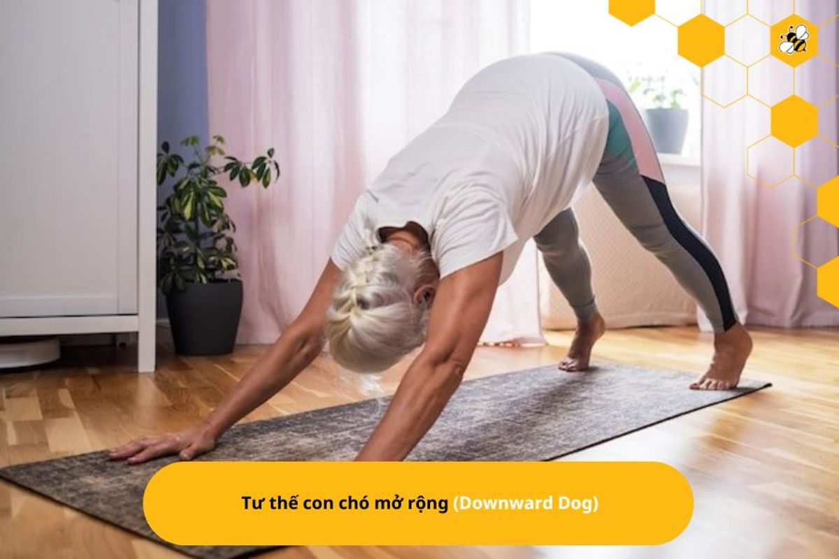 Tư thế con chó mở rộng (Downward Dog)