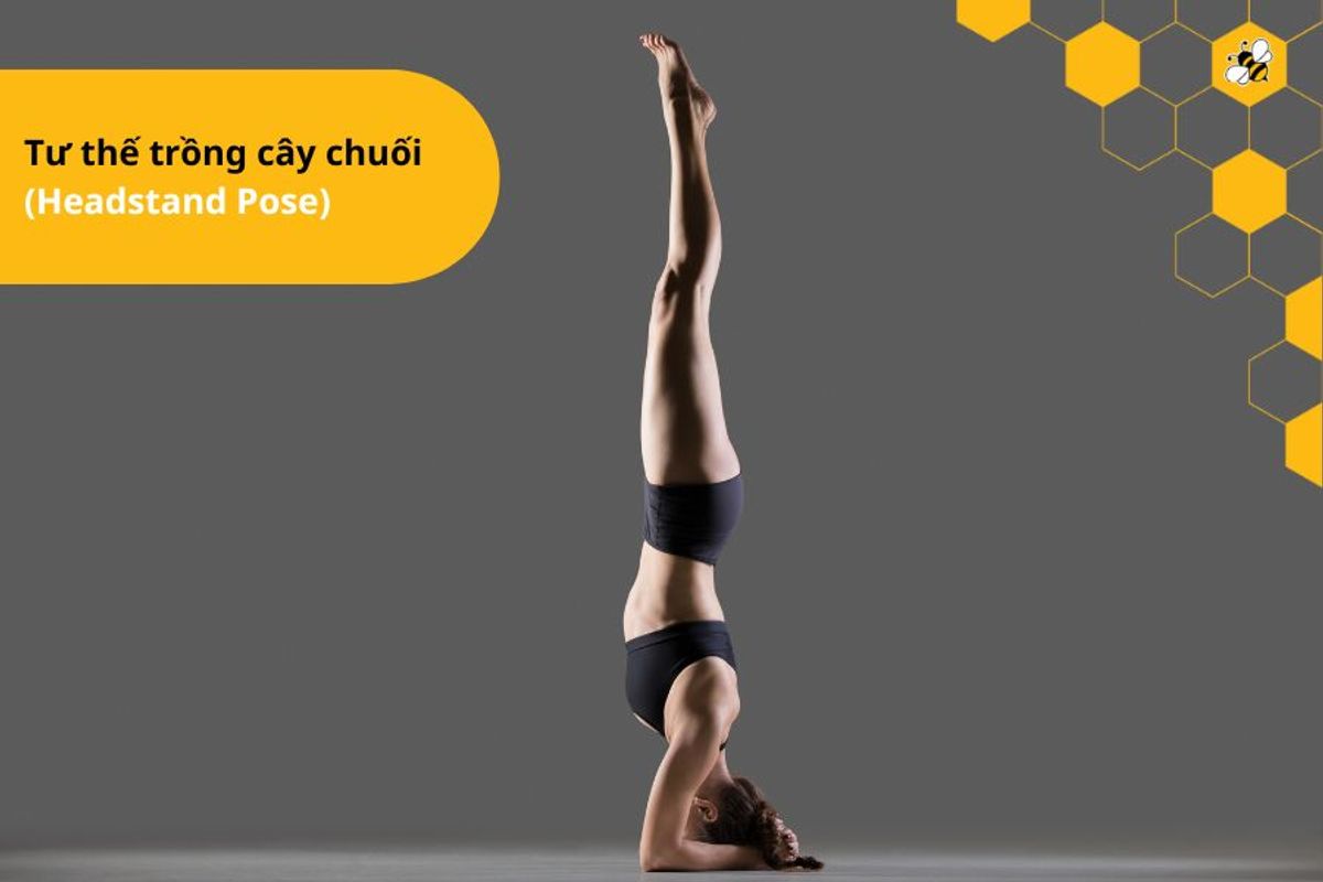 Tư thế trồng cây chuối  (Headstand Pose)