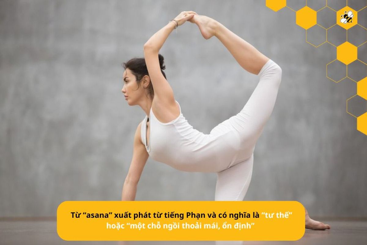 Từ “asana” xuất phát từ tiếng Phạn và có nghĩa là “tư thế” hoặc “một chỗ ngồi thoải mái, ổn định”