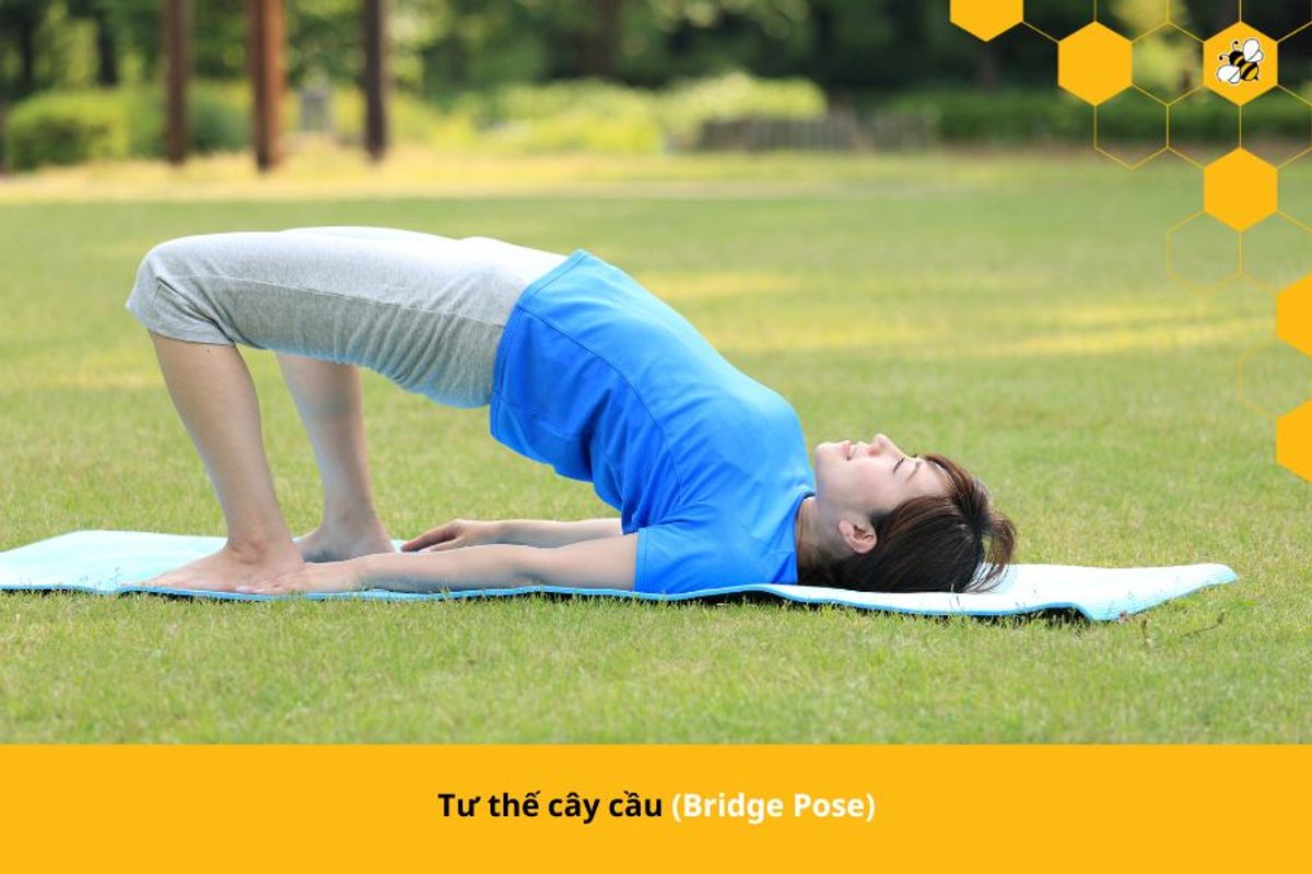 Tư thế cây cầu (Bridge Pose)
