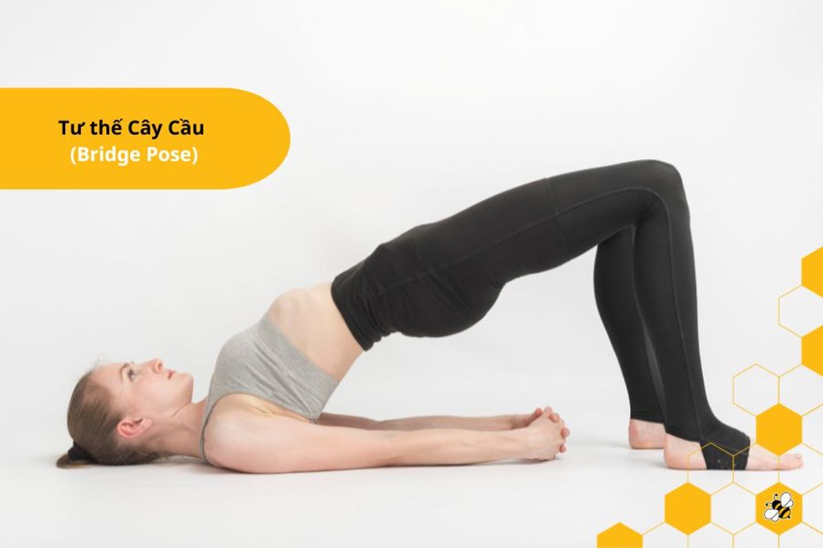 Tư thế Cây Cầu (Bridge Pose)