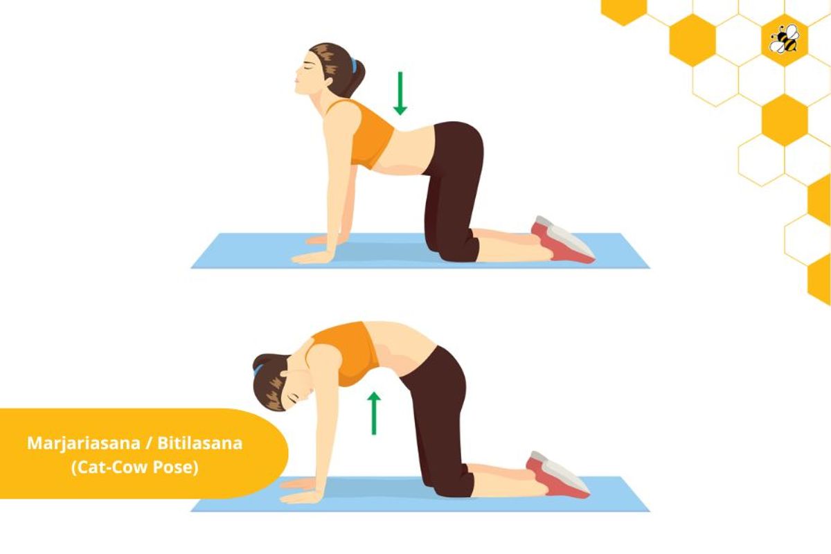 Marjariasana / Bitilasana (Cat-Cow Pose)