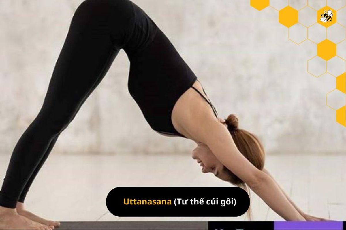 Uttanasana (Tư thế cúi gối) 