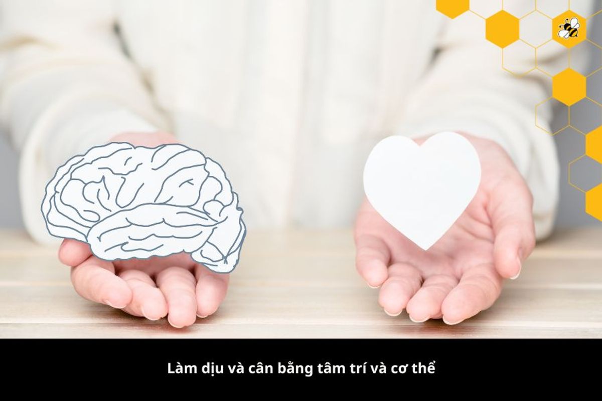 Làm dịu và cân bằng tâm trí và cơ thể