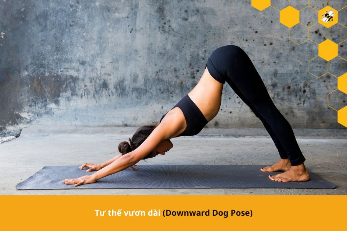 Tư thế vươn dài (Downward Dog Pose)