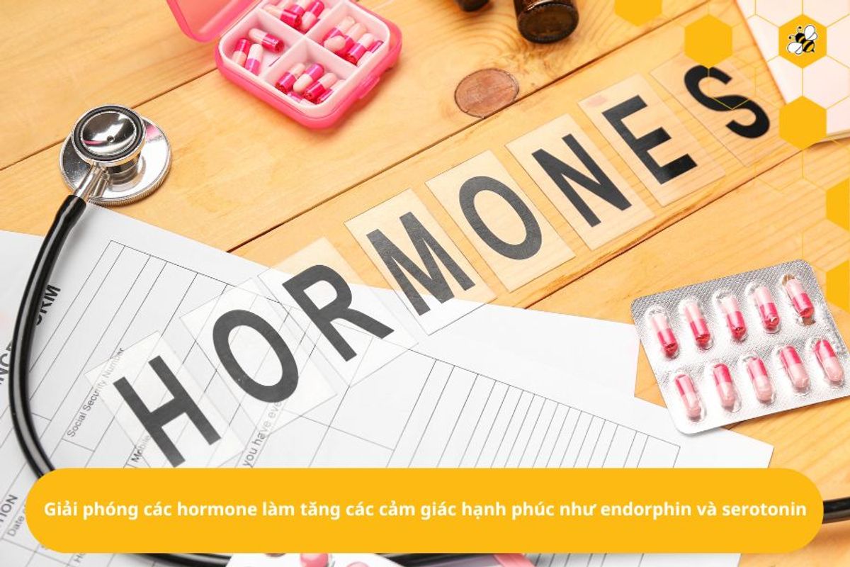 Giải phóng các hormone làm tăng các cảm giác hạnh phúc nh�ư endorphin và serotonin