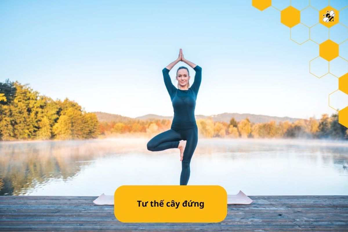 Tư thế cây đứng