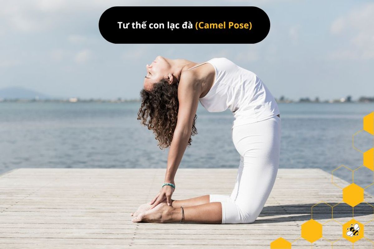 Tư thế con lạc đà (Camel Pose)
