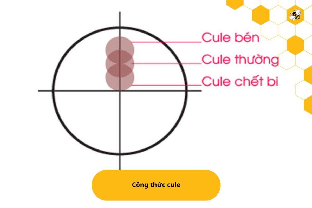 Công thức cule