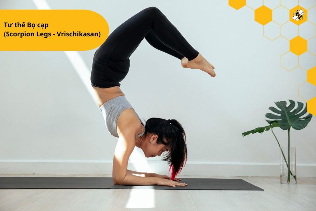 Tư thế Bọ cạp (Scorpion Legs - Vrischikasan)