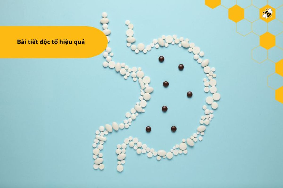 Bài tiết độc tố hiệu quả