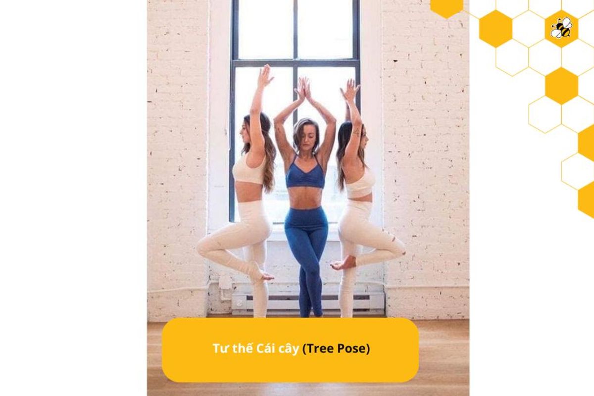 Tư thế Cái cây (Tree Pose)