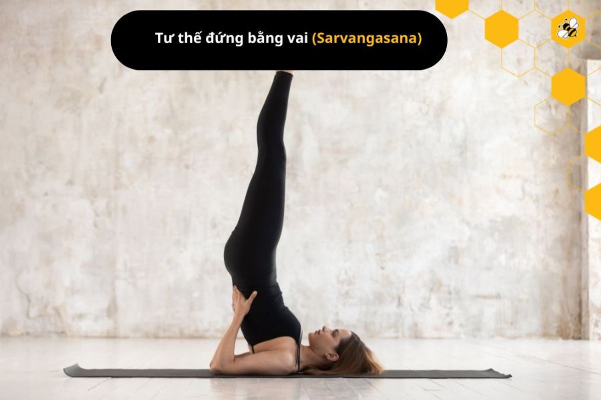 Tư thế đứng bằng vai (Sarvangasana)