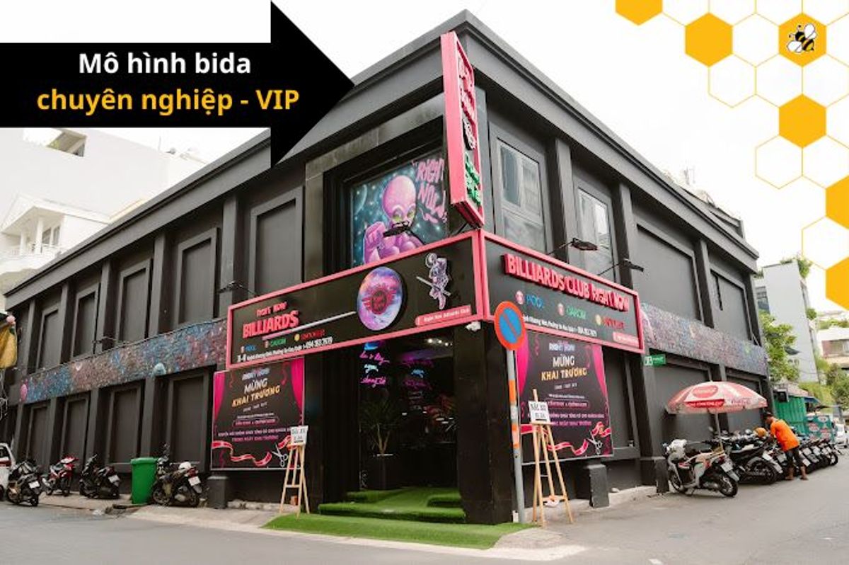 Mô hình bida chuyên nghiệp, VIP