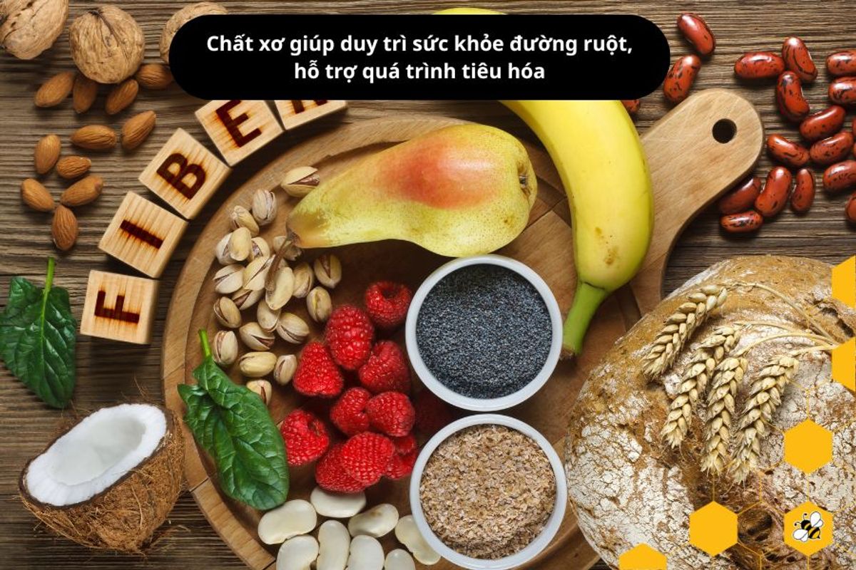 Chất xơ giúp duy trì sức khỏe đường ruột, hỗ tr