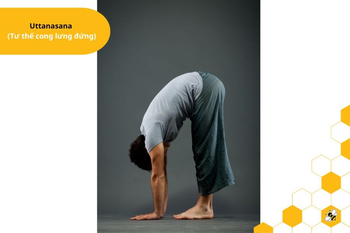 Uttanasana  (Tư thế cong lưng đứng)