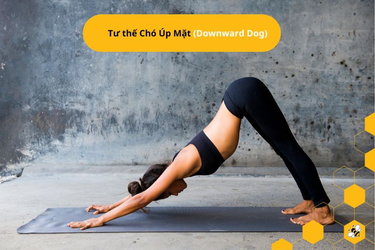 Tư thế Chó Úp Mặt (Downward Dog)