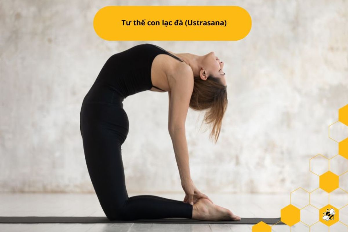 Tư thế con lạc đà (Ustrasana)