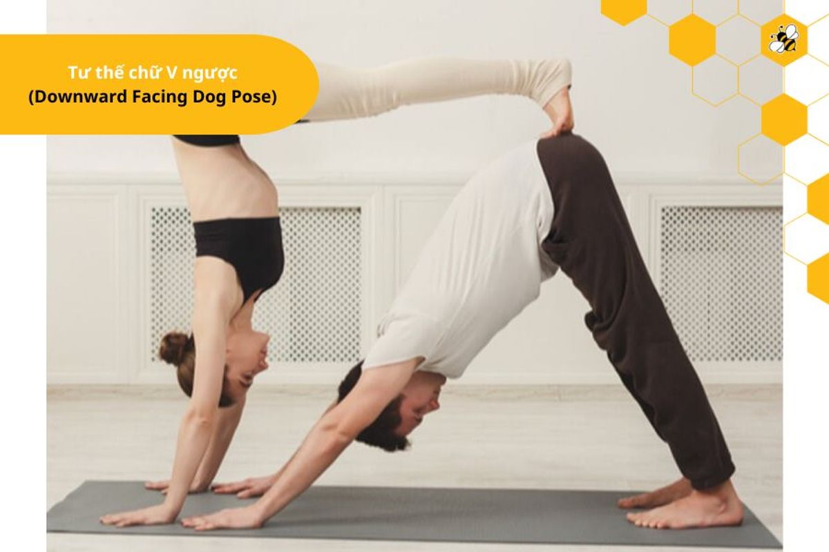 Tư thế chữ V ngược (Downward Facing Dog Pose)