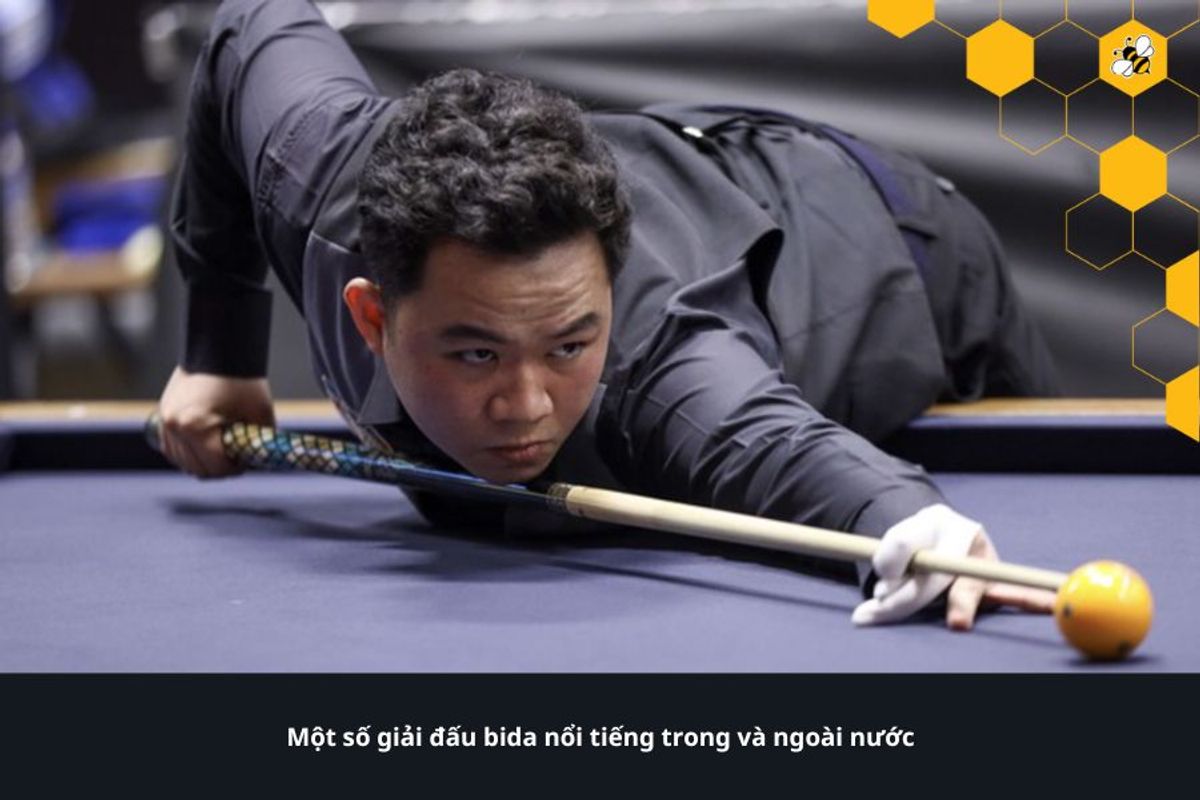 Một số giải đấu bida nổi tiếng trong và ngoài nước