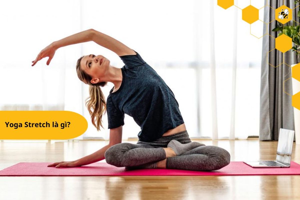 Yoga Stretch là gì?