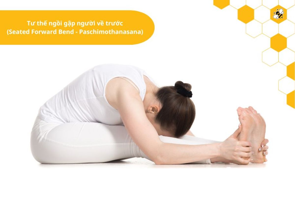 Tư thế ngồi gập người về trước (Seated Forward Bend - Paschimothanasana)