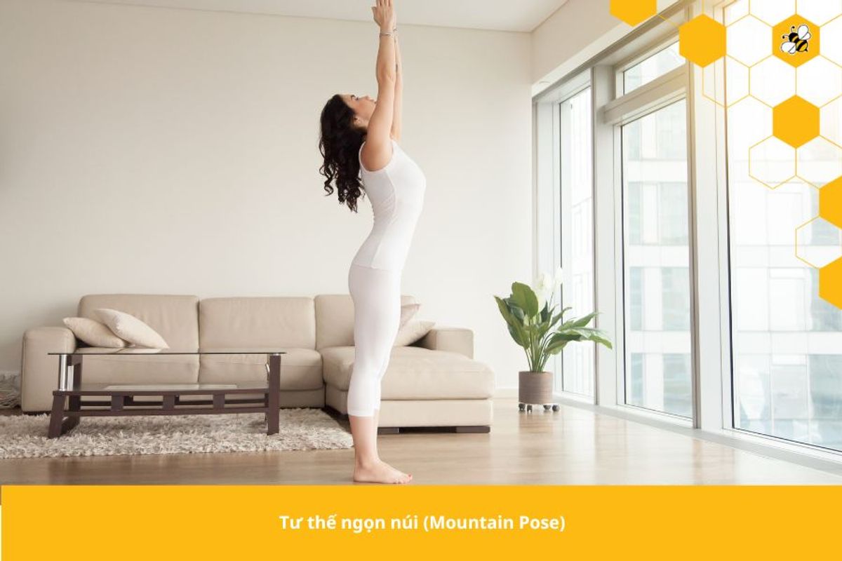 Tư thế ngọn núi (Mountain Pose)