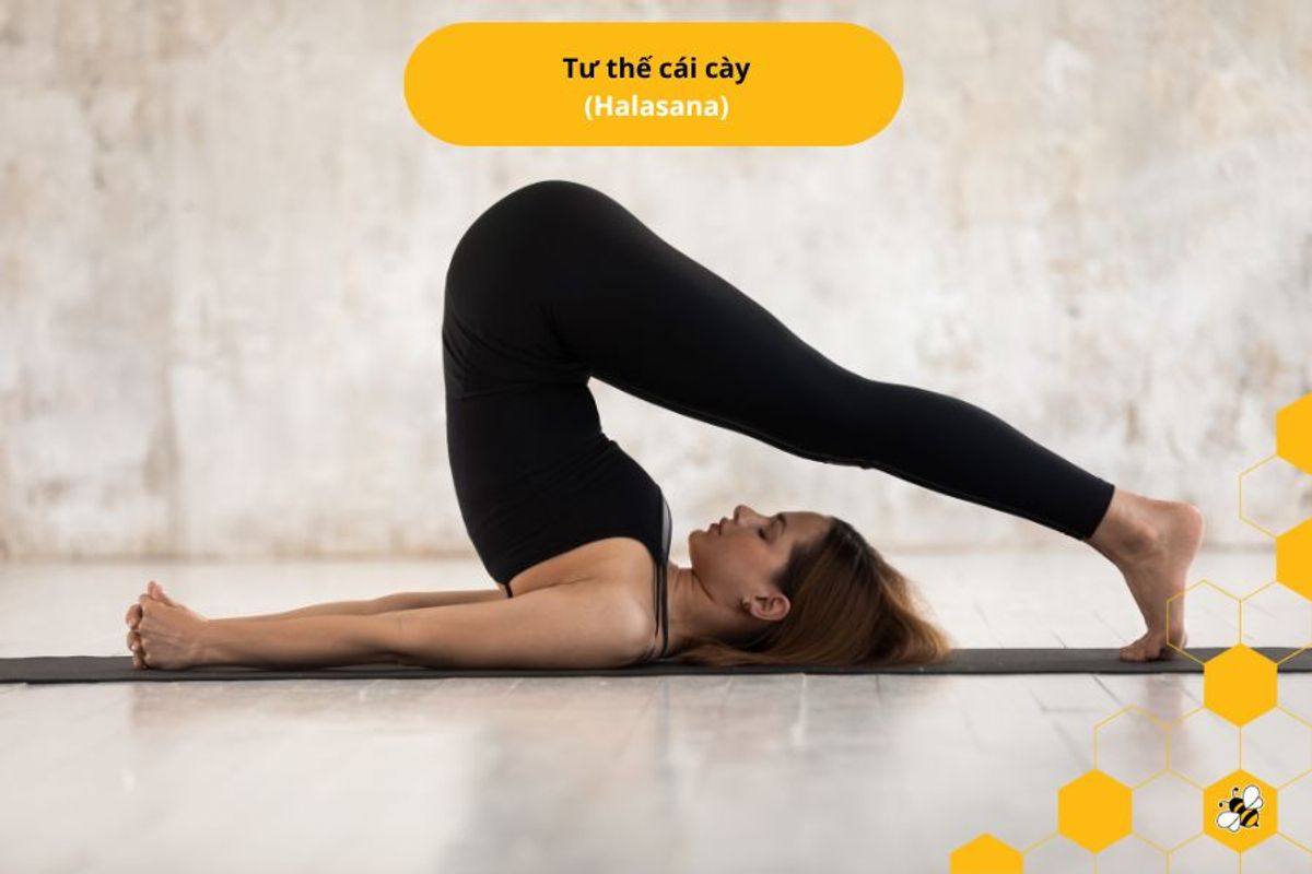 Tư thế cái cày (Halasana)