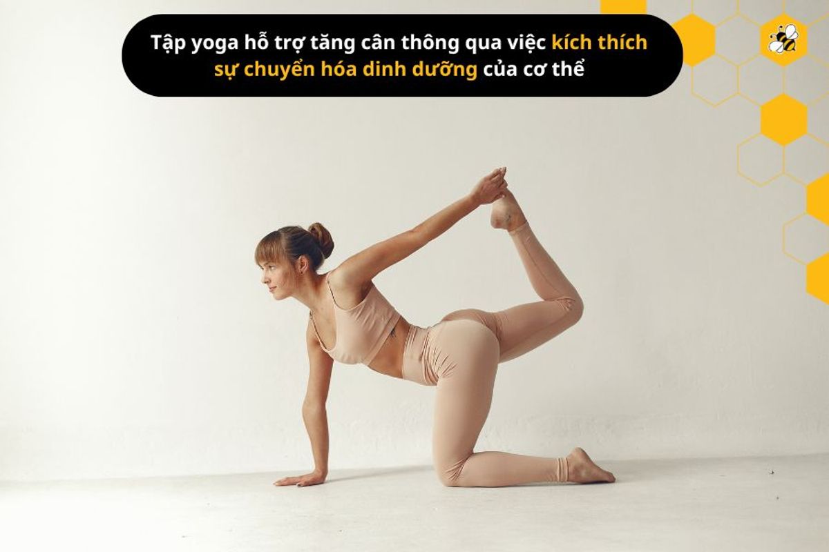 Tập yoga hỗ trợ tăng cân thông qua việc kích thích sự chuyển hóa dinh dưỡng của cơ thể
