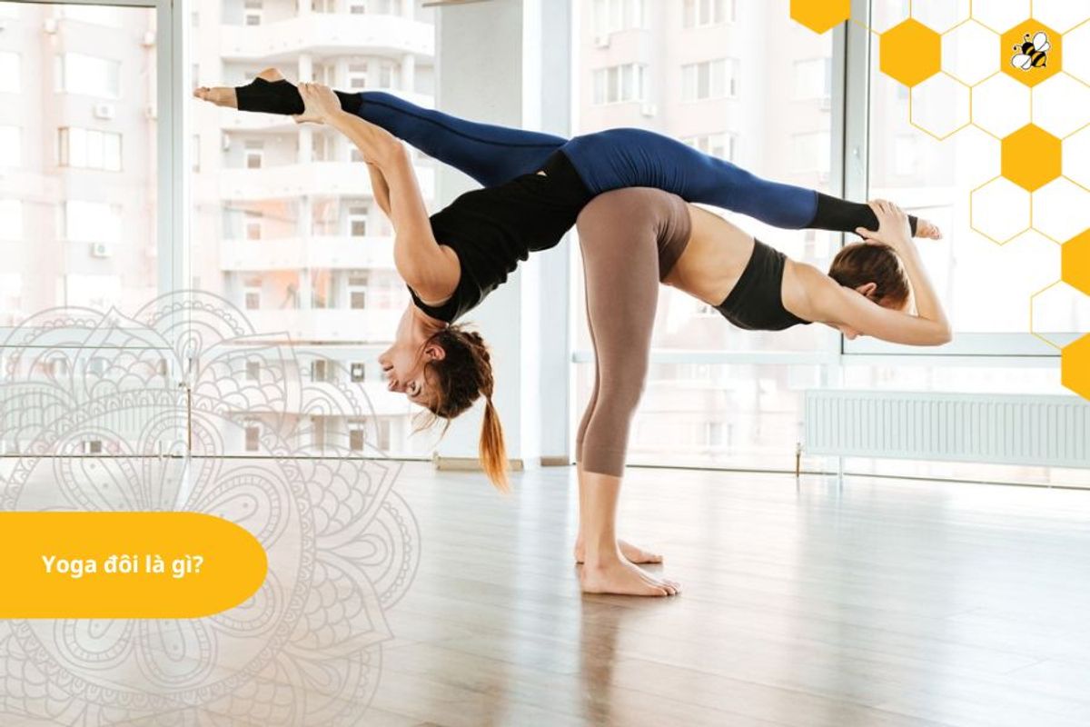Yoga đôi là gì?