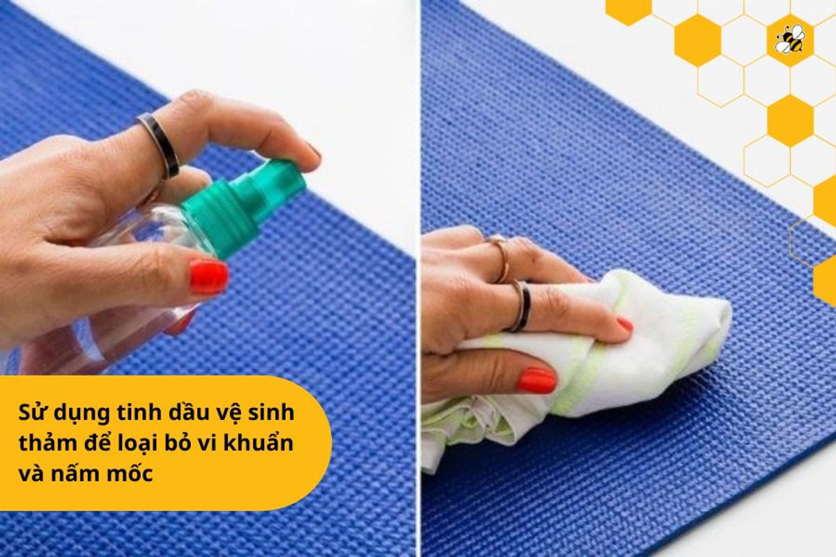 Sử dụng tinh dầu vệ sinh thảm để loại bỏ vi khuẩn và nấm mốc