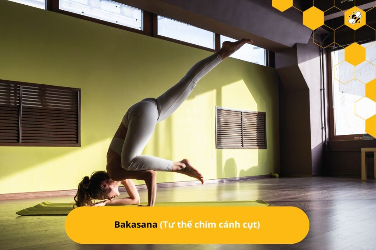 Bakasana (Tư thế chim cánh cụt)
