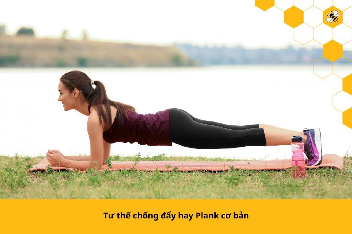 Tư thế chống đẩy hay Plank cơ bản