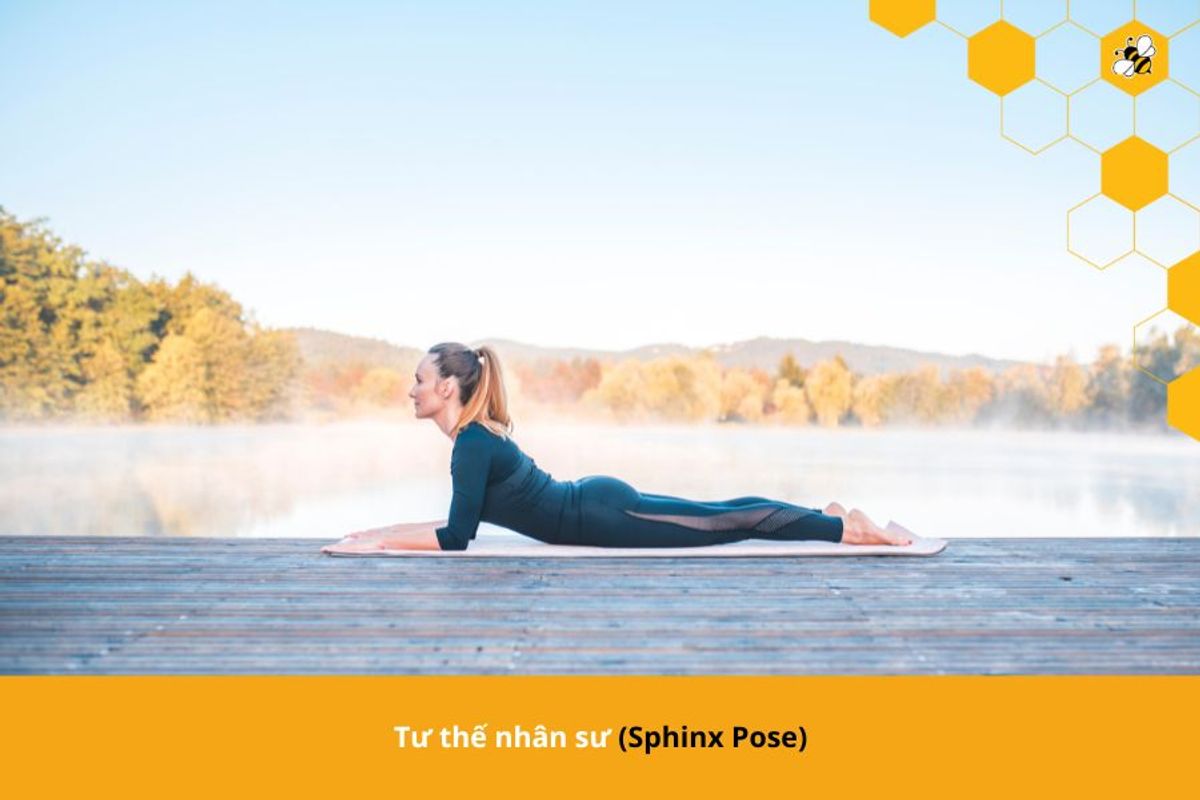 Tư thế nhân sư (Sphinx Pose)