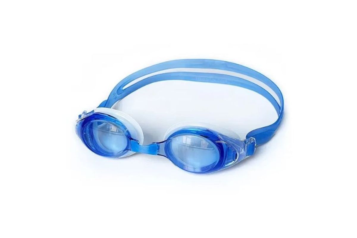 Các dòng kính bơi Arena phổ biến hiện nay