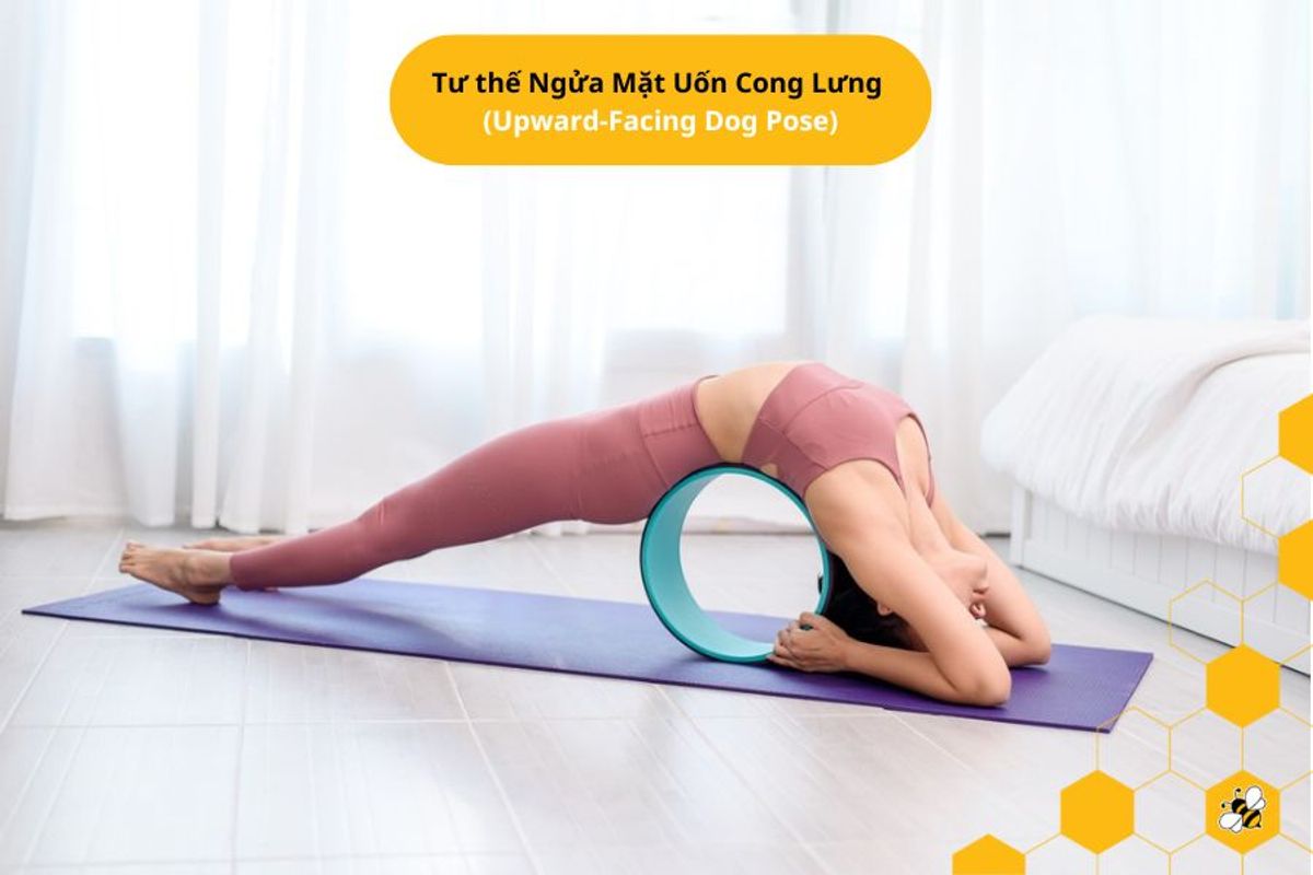 Tư thế Ngửa Mặt Uốn Cong Lưng (Upward-Facing Dog Pose)