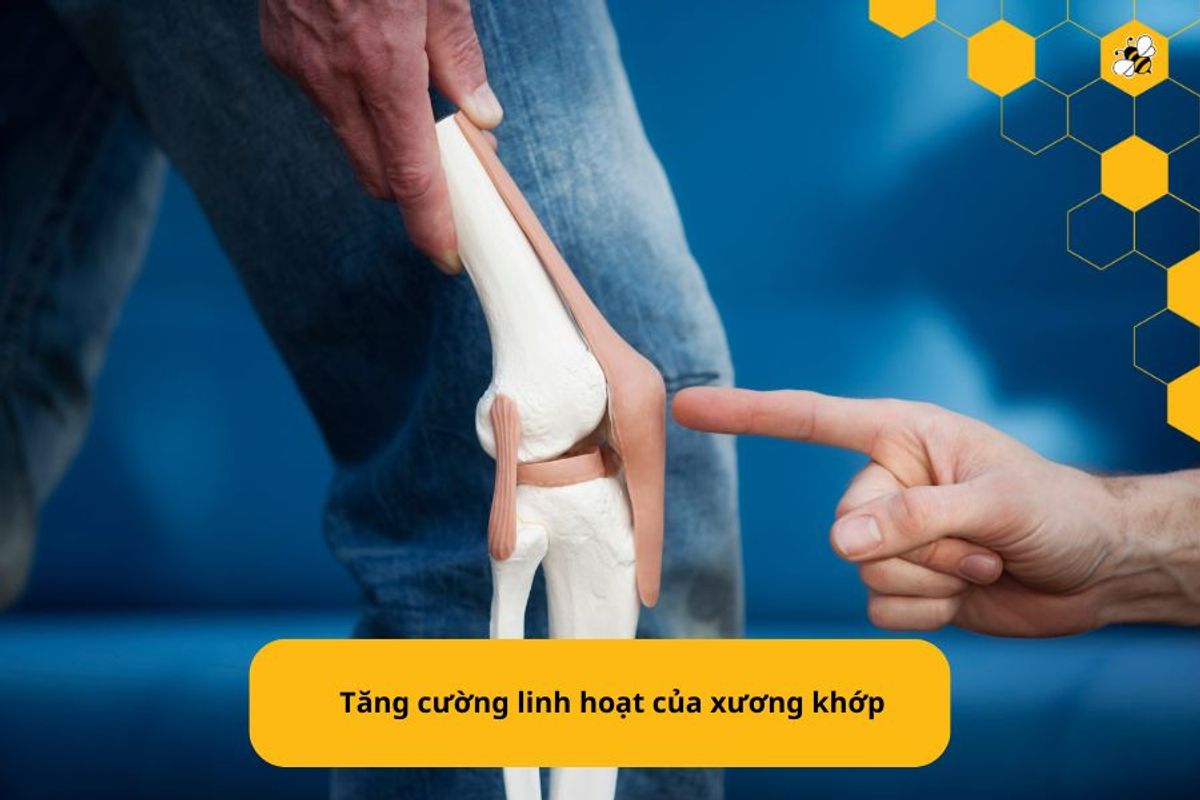 Tăng cường linh hoạt của xương khớp