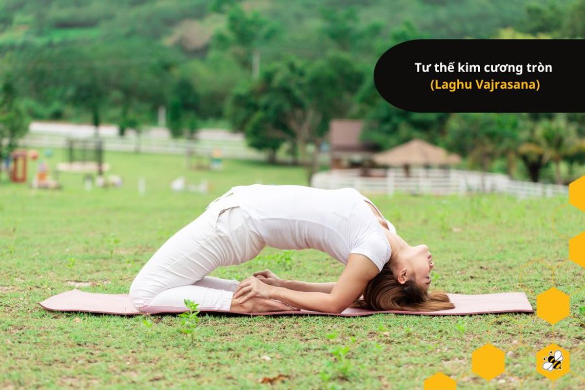 Tư thế kim cương tròn  (Laghu Vajrasana)