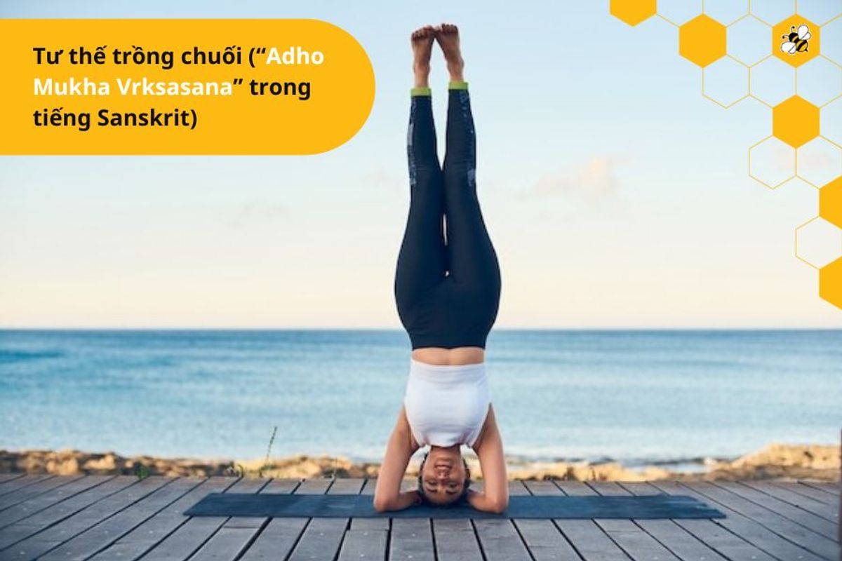 Tư thế trồng chuối