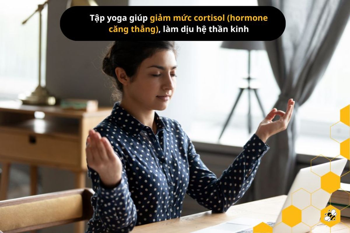 Tập yoga giúp giảm mức cortisol (hormone căng thẳng), làm dịu hệ thần kinh