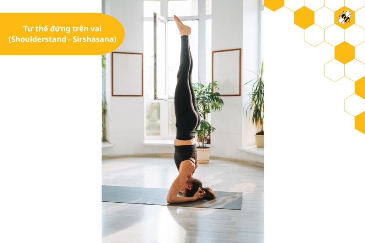 Tư thế đứng trên vai (Shoulderstand - Sirshasana)