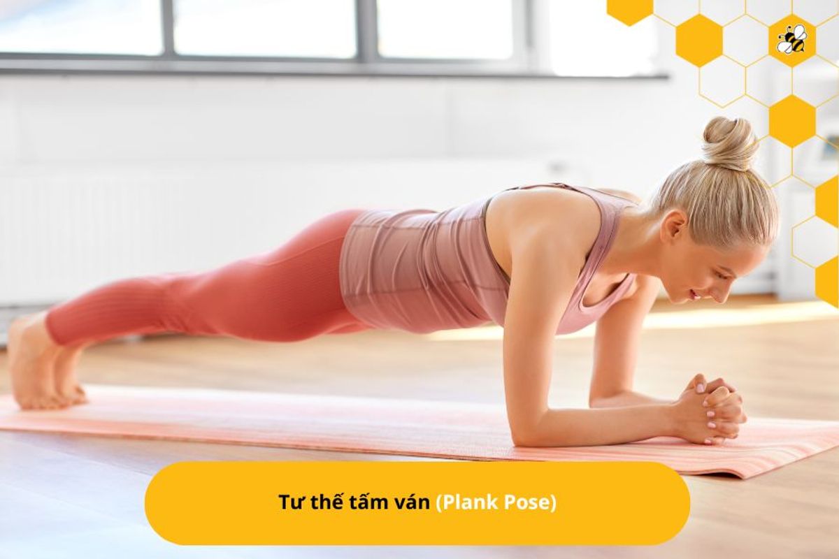 Tư thế tấm ván (Plank Pose)